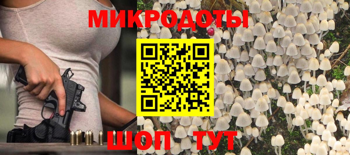 Псилоцибиновые грибы Cubensis Нижневартовск