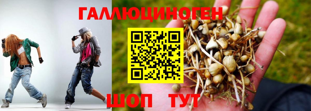 Галлюциногенные грибы Psilocybe  Вход с VPN  Нижневартовск  Галлюциногенные грибы Psilocybine cubensis 